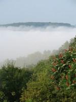 Brume%20(5)%20%5B320x200%5D.jpg